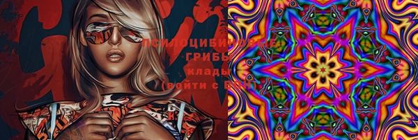 ешки Алексин